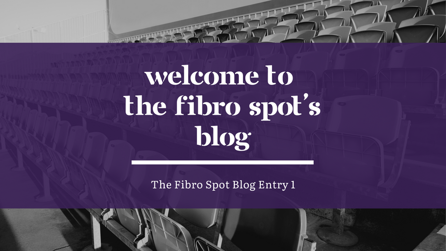 The Fibro Spot's Blog