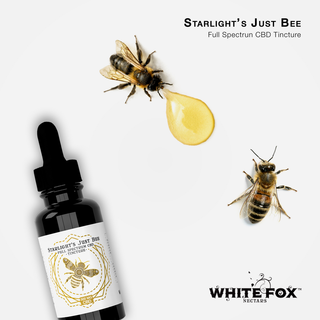 Starlight's Just Bee Tincture (White Fox Nectars Partnership)